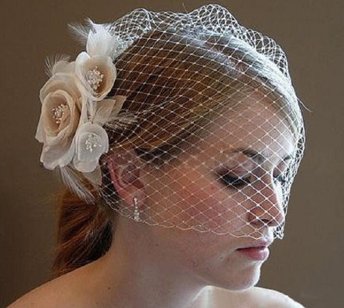 Women face veil - women, birdcage