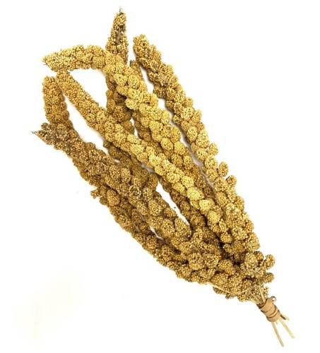Millet sprays 1kg premium - millet,