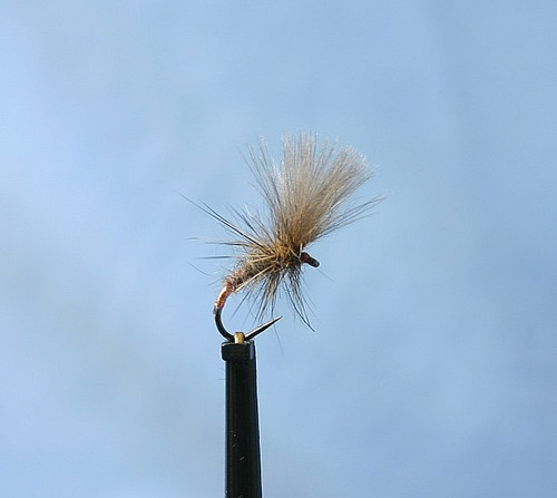 Cdc pearly butt - cdc,