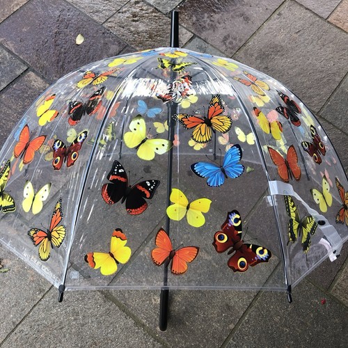 Ladies butterflies umbrella - ladies,