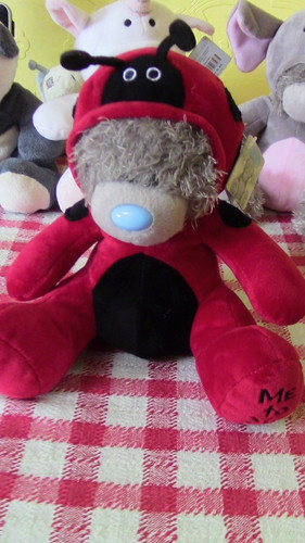 You tatty teddy - me,
