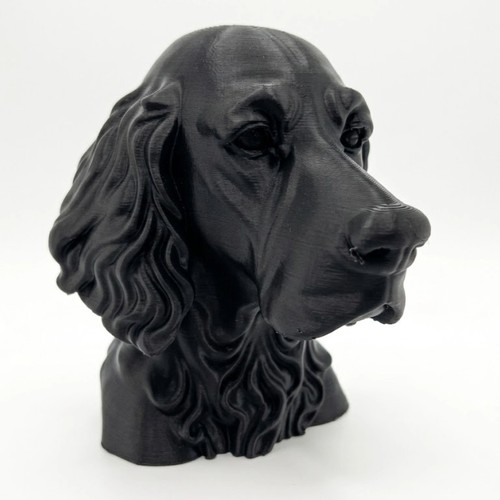 English setter dog - dog,
