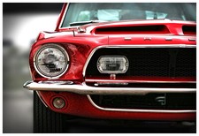 1968 Ford Mustang Shelby GT500KR Photo Art Print 13x19 Muscle Car Cobra KR GT