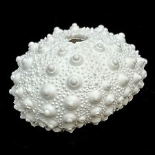Resin white Sea urchin Sputnik 9cm. Perfect for crafts or terrariums