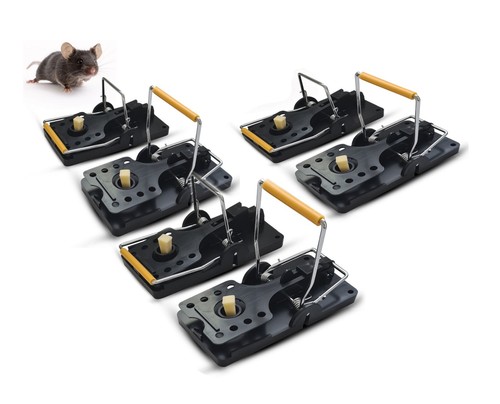 Pack mouse traps indoor - pack, kill