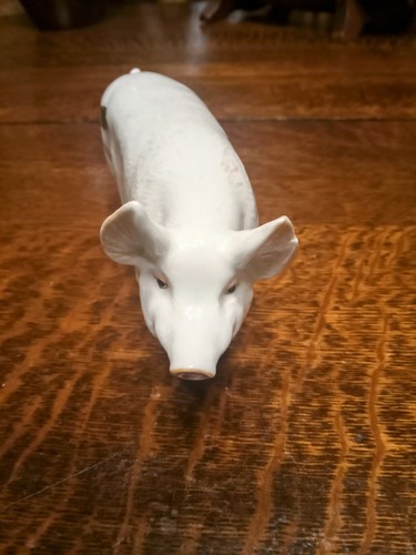 Beswick wall champion boy boar - champion,