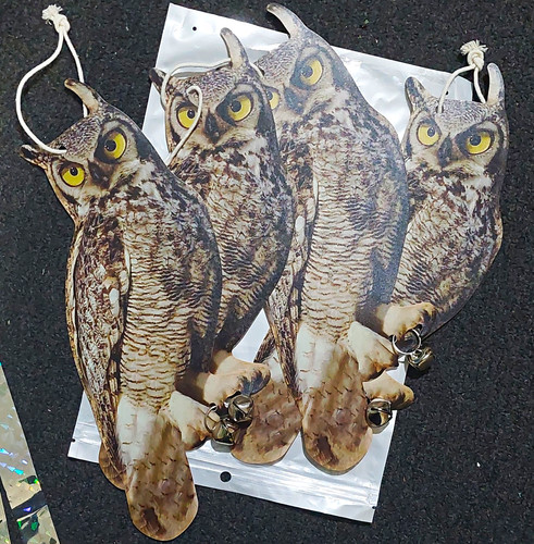 Owl bird scarer hanging - bird,