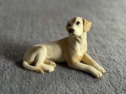 Castagna dog bundle all - castagna,