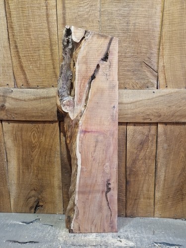 Live edge yew slab - live,