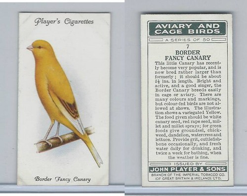 P72 player aviary cage - aviary,