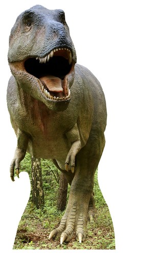 Tyrannosaurus rex - rex, t-rex