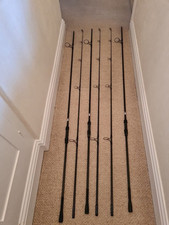 free spirit carp rods