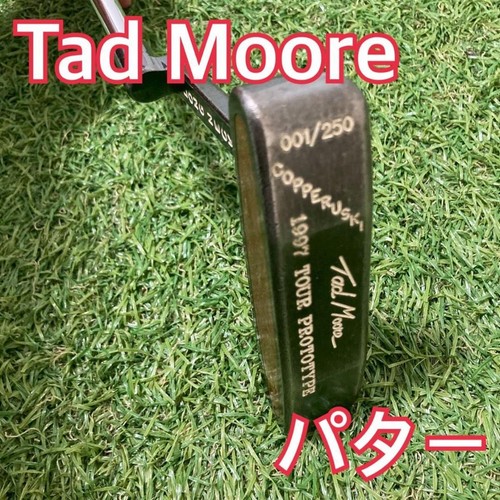 Tad moore tour prototype - tad,