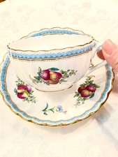 SPODE Trapnel Sprays Cup &