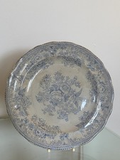 Asiatic Pheasant Plate Antique
