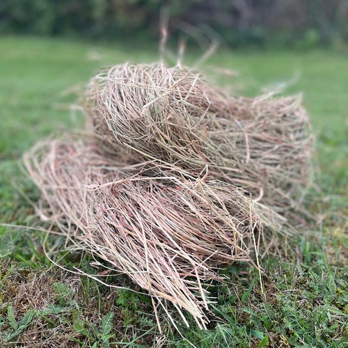 Hedgehog nesting straw house - nesting,