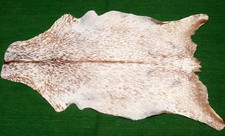 Luxury Goat hide Rug Hair on