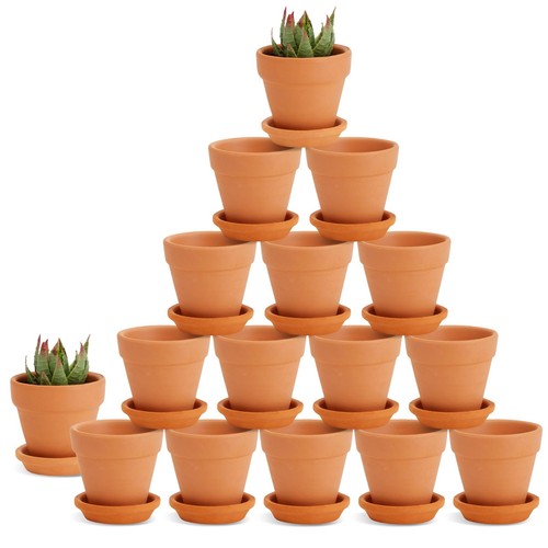 Mini terra cotta flower pots - flower,