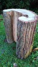 Unique shape oak log tree stump table, rustic woodland furniture, natural wood