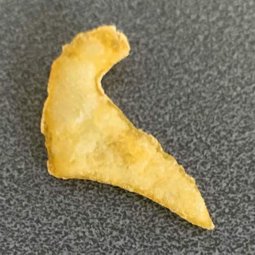Fossil shark tooth - fossil,