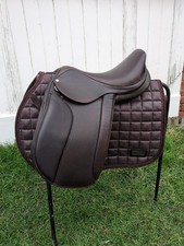 16" Working Hunter Havana