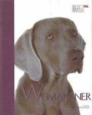 Weimaraner - Best of