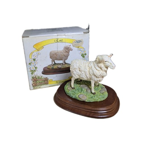 Ewe sheep the leonardo - the,
