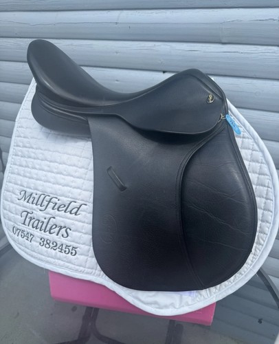Black gfs field house - 16.5,