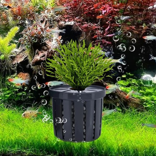 4pcs aquarium plant holder - plant,