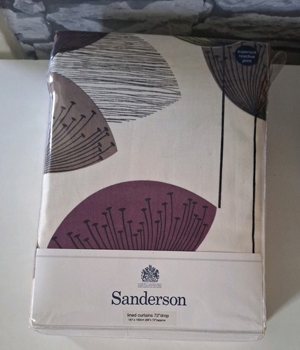 Sanderson dandelion clocks - dandelion,