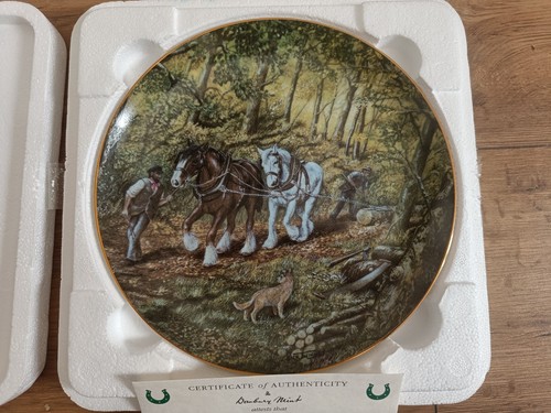 Magnificent shires plate - magnificent,