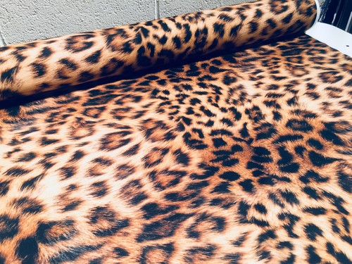 Digi leopard animal - animal, print