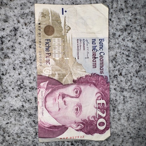 1992 irish pound banknote - pound,