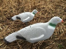 Extra Large Flocked Pigeon Decoy Shell Magnum Sized Feeding or  Sentry No Shine