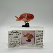 Kaiyodo Furuta Choco Q Pet Animal 1 Ranchu Orange Goldfish Fish Figure B
