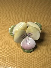 Fine Bone China Multi Colour