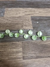 Variegated String of Pearls 1x