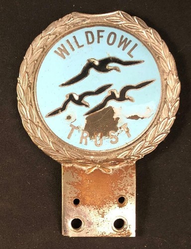 Wildfowl trust gaunt - trust,