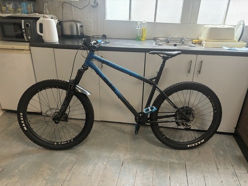 Ragley blue pig - blue,