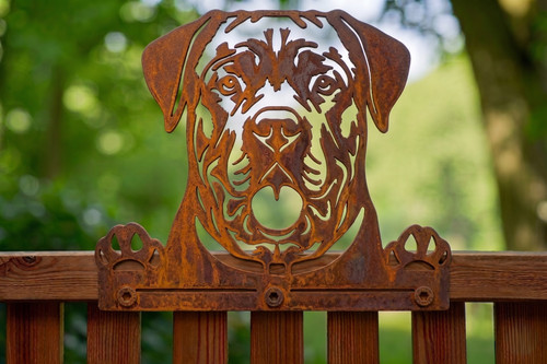 Rusty cane corso garden - rusty,