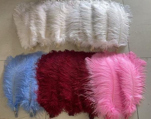 Natural ostrich feathers size - ostrich,