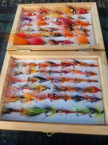 Salmon and sea trout - salmon,