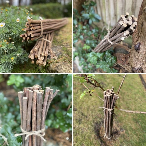 Plant support sticks willow - support,