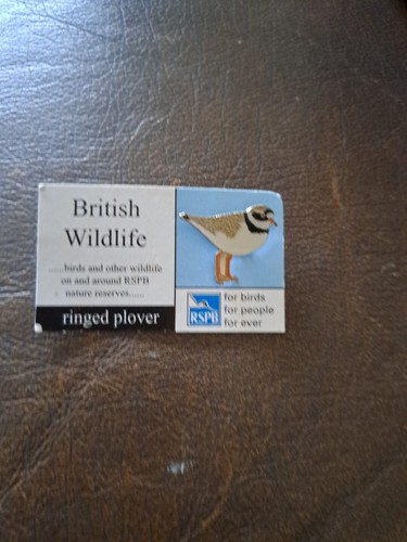 Rspb ringed plover bird - rspb,
