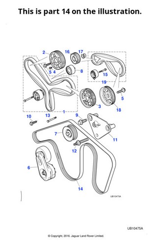 Jaguar engine drive belt - jaguar,