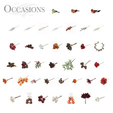 Occasions Wreath Accessories