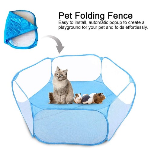 Folding pet cat - pet,
