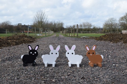 Bunny rabbit show jump - bunny, fillers