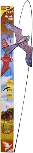 Defenders hawk kite - hawk,