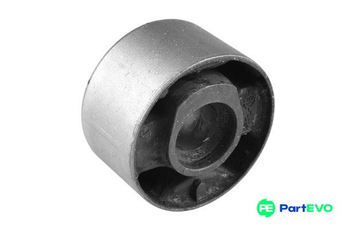 Tedgum rear front - tedgum,